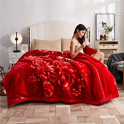 Warme wintergewichtige Decke King-Größe, koreanische Nerzdecken, 2-Luft-Reversible Raschel-Bettdecke für Bett und Couch,G,180 * 220cm3kg