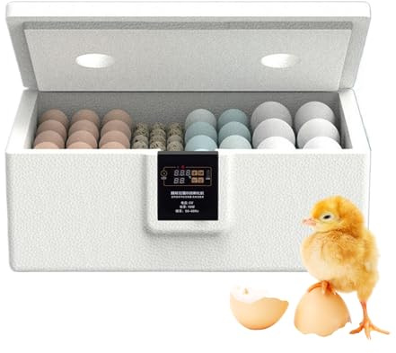 Incubatori per la Schiusa delle Uova | Contenitore Incubatore Per Uova Di Quaglia | Macchina Incubazione Risparmio Energetico 5V Display Temperatura Per Quaglie Anatre Oche Pappagalli