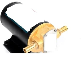 12V 0.3Mpa ascenseur 3m vin bière café Diesel essence huile transfert pompe à engrenages électrique voiture transfert carburant automatique moteur pompes