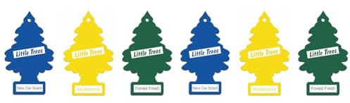 Little Trees Air Freshener, Traditional Fragrances, Pack of 6 (Packaging may vary)