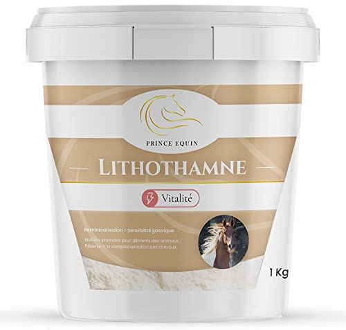 Prince Equin LITOTHAMNE - Complemento nutricional Caballo - Cubo de 1 kg - Calcio natural - Ayuda a regular la acidez gástrica - Remineralización - Marca francesa (Seau 1 kg)