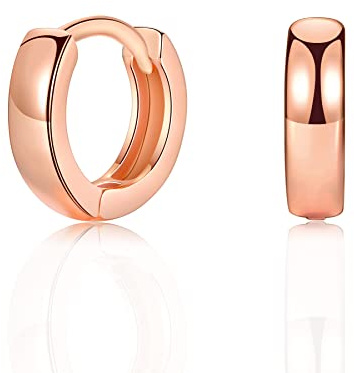 Small Silver/Gold/Rose Gold Hoop Earrings, 925 Sterling Silver Post Lightweight Sleeper for Women Girls Men Gifts Diameter 8/10/12/14mm Thickness 2/3mm