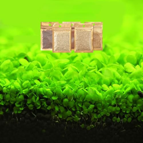 10g Grass Seeds Fast Growing,Aquarium Grass Plants Seeds, Fish Aquatic Water Grass Decor (Heart Grass)
