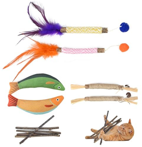 GOTDYBST 11 StüCk Katzenspielzeug, Katzenminze Spielzeug, Katzenspielzeug Fisch, Hilft Bei Der Entfernung Von Zahnstein Und Mundgeruch Bei Katzen Und ErmöGlicht Katzen Das Spielen, BeißEn Und Kauen