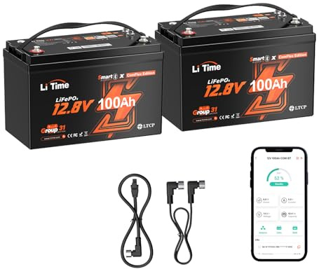 LiTime Pack de 2 Batería Litio 12V 100Ah LiFePO4 con Bluetooth Compatible Victron, CAN/RS485, BMS 100A, 4000-15000 Ciclos, Protección Temperatura, Ideal para Autocaravanas, Barcos y Sistemas Off-Grid