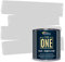 THE ONE All-in-One Paint & Primer: Durable Furniture, Cabinet & Front Door Paint - Interior & Exterior (Light Grey, Gloss, 2.5 Liter)