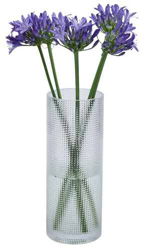 QEEYON Jarrón de flores de cristal de 25 cm, hecho a mano, moderno jarrón de cristal, gran decoración, transparente, jarrón de tulipanes, hierba de las Pampas, orquídeas, rosas para casa, oficina