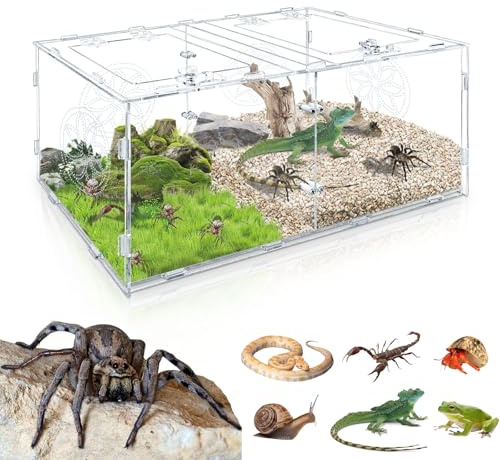 Reptilien-Terrarium, 15.75*7.87*9.84in Acryl-Terrarium mit zwei Kammern für Spinnen, Reptiliengehege für kleine baumbewohnende Reptilien