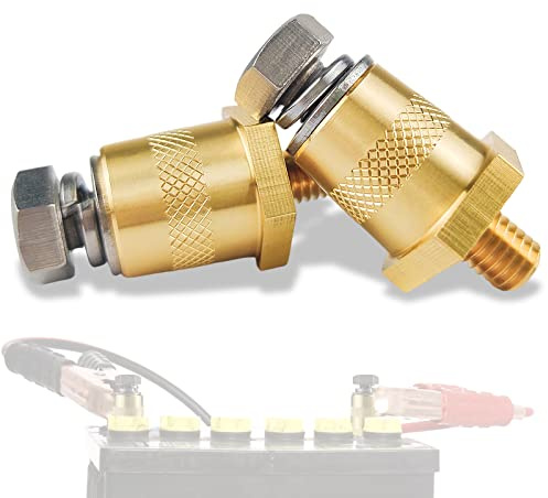 Lot de 2 adaptateurs de bornes de batterie M6 avec filetage extérieur - En laiton - Pour batteries de voiture au lithium