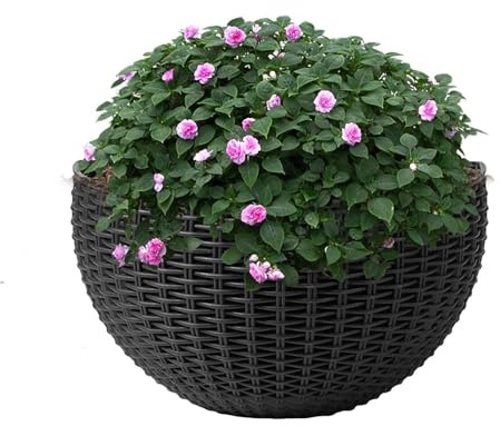 Generico Vasi Da Parete, Vasi Per Piante Da Esterno, Vaso Da Appendere Interno, Design Semicircolare In Rattan, Design A Doppio Strato, 21 * 16,5 Cm, Con 2 X Ganci, 2 X Viti, 2 X Set Di Viti