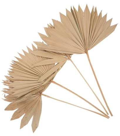 SHINEOFI 4 Stück Getrocknete Natürliche Palmblätter Deko Getrocknete Palmfächer aus Naturmaterial Trockenpflanzen Arrangement für Hochzeit Party Wohnzimmer