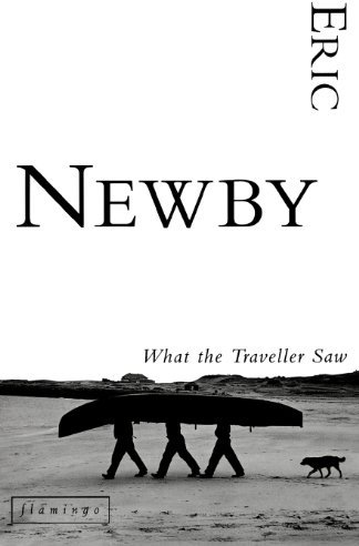 WHAT THE TRAVELLER SAW