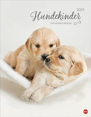 Hundekinder Posterkalender 2023 von Monika Wegler. Welpen-Fotos zum Dahinschmelzen in einem großen Wandkalender. Posterkalender mit Hundeporträts für alle Fans der Fellnasen.