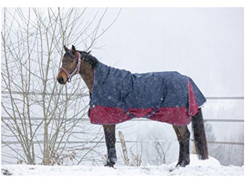 Equi-Theme Winterdecke Highneck 300g Füllung TYREX 1200D Marineblau/Bordeauxrot