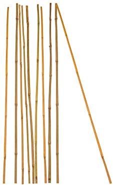 BigDean 10x Pflanzstab Bambusstab 105 cm x 8-10 mm Bambus Rankhilfe Pflanzstab Tonkinstab 100% Naturprodukt Pflanzstäbe Bambusstäbe Bambusstangen