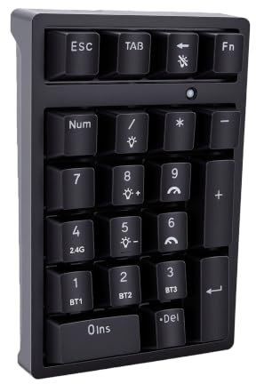 Goshyda Tastierino Numerico Meccanico Wireless Tastierino Numerico Bluetooth RGB per contabilità