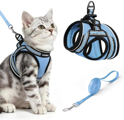 rabbitgoo Pettorina Gatto Antifuga, Guinzaglio Gatti Regolabile, Imbracatura Ultra-Leggero Morbido Riflettente per Cucciolo, Gattini e Gatto Piccolo, Pettorina per Passeggio e Corsa, M, Azzurro