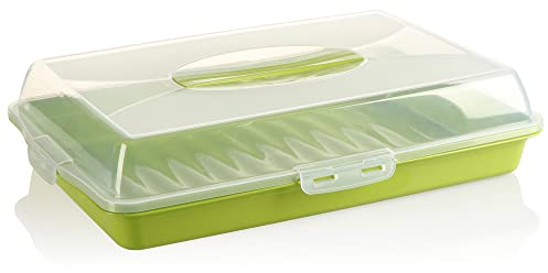com-four® Contenitore per dolci - scatola per il trasporto di dolci e alimenti - contenitore con coperchio e maniglia per il trasporto - vassoio (01 pezzi - disegno 2 verde)