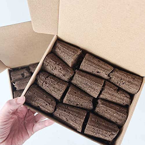 PlantPlugs | Experimental Set 24-Pack