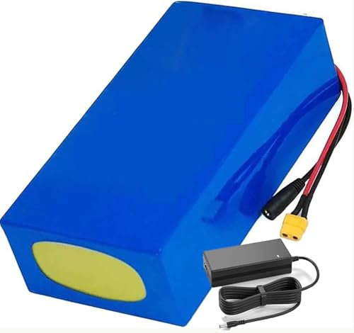 Batería Bicicleta Eléctrica 48V, Batería Ebike 48V 10Ah 12Ah 15Ah 20Ah 25Ah 30Ah Batería Litio para Bicicleta Eléctrica 13S8P Batería De Litio para Motor 300W, 500W, 750W 1000W 48V 10Ah(2),XT60