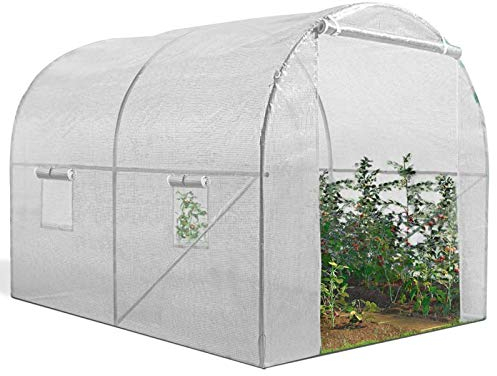 IDMarket - Serra tunnel da giardino 6 m² bianco gamma ortice Roma 2 x 3 m