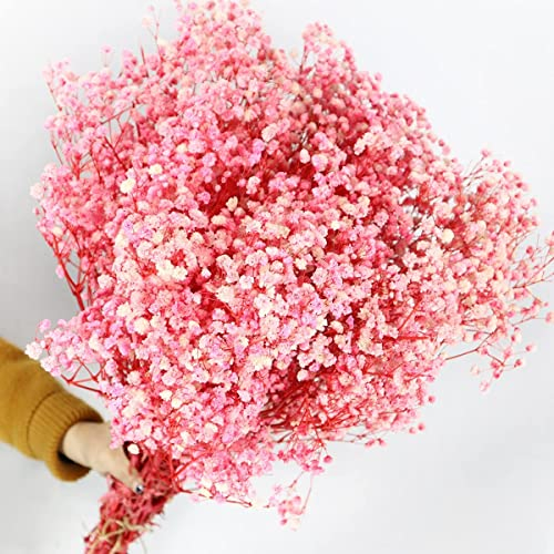 Natürliche getrocknete Schleierkrautblüten, mehr als 2000 Knospen, echter getrockneter Blumenstrauß für Hochzeit, Brautstrauß, Vase, Pampasgras-Dekoration (Rosa)