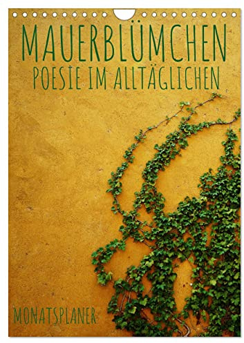 Mauerblümchen - Poesie im Alltäglichen als Monatsplaner (Wandkalender 2026 DIN A4 hoch), CALVENDO Monatskalender: Wer mit offenen Augen durchs Leben ... betrachten. (Khalil Gibran) (CALVENDO Natur)