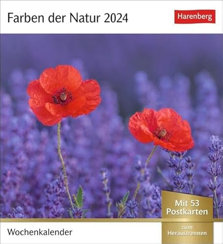 Farben der Natur Postkartenkalender 2024. Farbenprächtige Naturaufnahmen in einem Fotokalender im Postkartenformat. Tischkalender zum Aufstellen mit 53 Postkarten: Wochenkalender mit 53 Postkarten