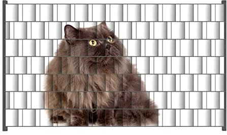 Wallario Zaun Sichtschutz Windschutz für EIN- und Doppelstabmattenzäune in der Größe Breite 2,50m x Höhe 1,40m, Motiv: Perserkatze vor weißem Hintergrund