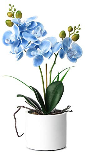 Alyphyly Fiore artificiale bonsai con vaso di orchidea vivido composizione floreale Phalaenopsis vaso per decorazione casa ufficio tavolo centrotavola decorazioni casa (vaso di ceramica/orchidea blu)