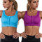 Jamron Donna Taglie Forti Set di 2 Reggiseni Sportivi Alto Impatto - Cerniera Frontale Reggiseno Senza Ferretto con Imbottito Removibile per Yoga Fitness Jogging Blu + Viola L