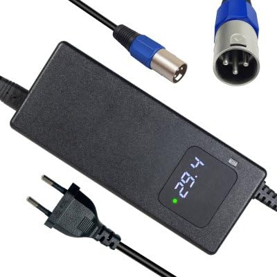Caricabatterie Batteria agli ioni di litio 24 V, per sedia a rotelle elettrica, scooter elettrico, bici elettrica, 29,4 V, 4 A, adattatore di alimentazione Rapid Charger Fan Cooling Connettore XLR