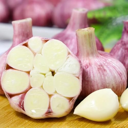 knoblauch - winterknoblauch - gemüsepflanzen kräutersamen pflanzknoblauch kräutergarten, exotische bodendecker gartenkräuter gartenkräute wintergemüse 125samen