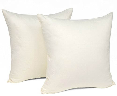WOLTU 2er Set Kissenbezug 30x30 cm Creme Baumwolle, Nur Kissenbezug - Kissenbezüge Kopfkissenbezug mit Reissverschluss, Weicher Sofakissenbezug, Doppelpack Dekokissenbezug