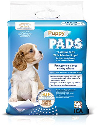 ICA spad16 Reinigungstücher-Abrichtung Puppy Pads