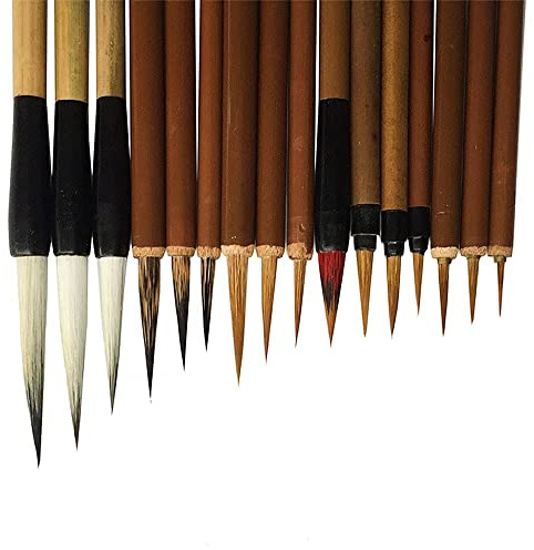 CENPEK Set di 16 pennelli per calligrafia cinese Kanji giapponese Sumi Disegno