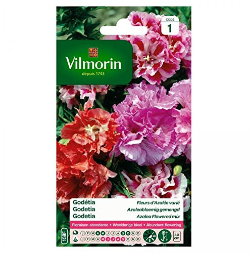 Vilmorin - Godetia DBL FL Azalée Mix
