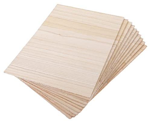 HANABASS 10stücke Holzbrett Zum Brechen Für Taekwondo Hartholzbrett Zum Üben Professionelles Schlagbrett Aus Holz Für Junge Mädchen Brechbrett Zum Vorführen Für Anfänger Tägliches