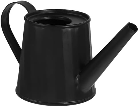 IWOWHERO Mini Gießkanne Verzinktes Eisen Klein mit Langem Ausguss für Zimmerpflanzen Sukkulenten Tragbare Indoor Bewässerungskanne Dekorative Blumengießkanne für Balkon Schreibtisch Schwarz