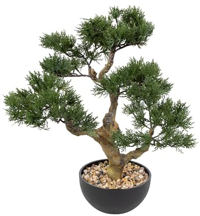 Seidenblumen Roß Bonsai Zeder 46x42x30cm in schwarzer Dekoschale DP – Japanischer Dekobaum wie echt mit Steinabdeckung – Kunstbonsai für Fensterbank, Sideboard & Büro