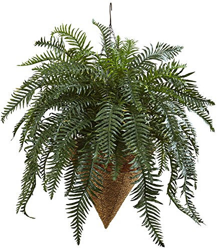 Casi Natural 6871 33 Gigante Río Helecho con Cono para Colgar cestas