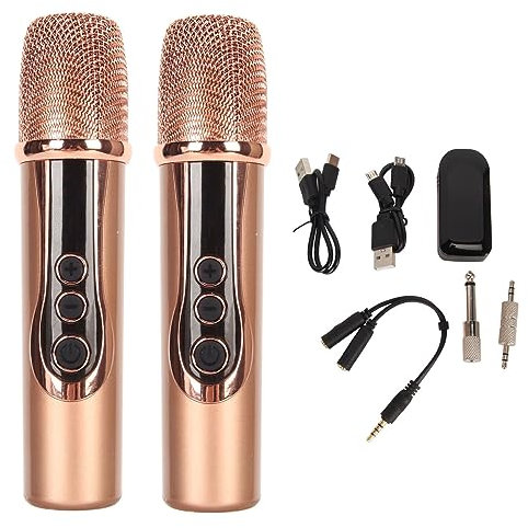 Drahtloses Mikrofon, Kabelloses UHF Dual Handmikrofon Set, Dynamisches Mikrofon Set mit Rauschunterdrückung, Reverb Stereomikrofon für Party, Karaoke, Kirche, Rede, Hochzeit (1