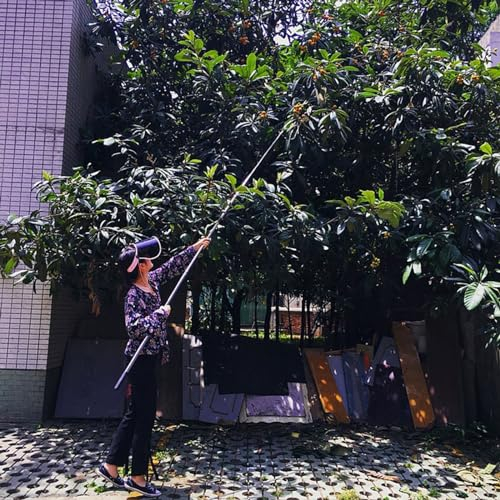raccogli asparagi pinza frutta Pinza Allungata Con Manico Lungo Per Alberi Da Frutto, 2.5 3 5 6 7 10 M Palo Per La Raccolta Della Frutta Telescopico Con Cesto Per I Raccoglitori Di Frutta Più Grandi,