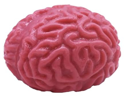 Jouet à Balle de Stress du Cerveau | Jouet d'halloween de Lent | Boule d'antistrés réalistes pour se resserrer avec Une Blague de fête de décoration de Cerveau de Faux Gel
