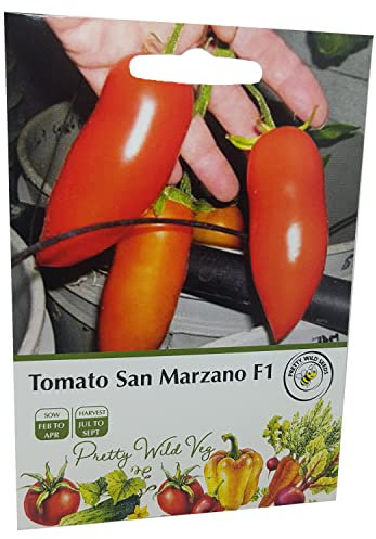Tomato Plum San Marzano Seeds in Pictorial Packet from a UK Seller