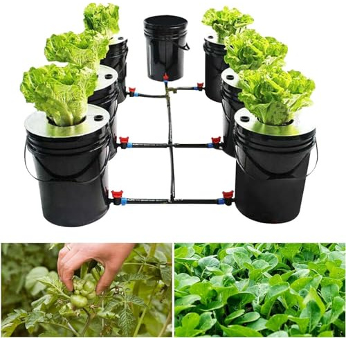 DWC Hydroponic System - 5 Gallon 7 Bucket Recirculating Growing Kit for Deep Water Culture Hydroponics