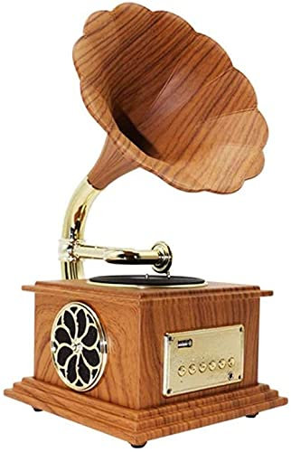 ROLTIN Tourne-Disque, Gramophone, Mini phonographe stéréo Bluetooth, Petit Haut-Parleur stéréo Bluetooth pour Salon