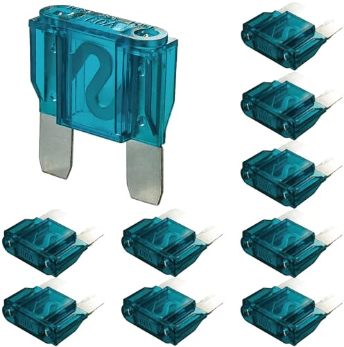 Kits de fusibles de hoja maxi, 10 piezas de 32 V (12/24 V) 60 A, fusible de hoja de repuesto automático para coche/caravana/barco/hogar y (60 A)