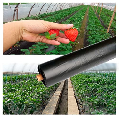 ApuaVireo&Co Película de PE for Sombra agrícola, Color Negro, de 10 a 50 m, Grosor de 0,014 mm, for Invernadero, Fresa, Tomate, Cubierta Vegetal, 1 Unidad(0.014mm 1X20M)