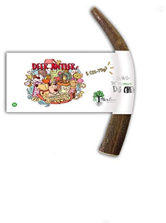 BiMordiscos Pet products Beißring aus Hirschgeweih für Hunde, 100% natürlich (S 51-75 g)